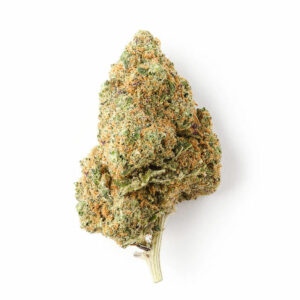 Amnesia Hidro