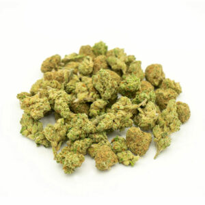 Amnesia Mini