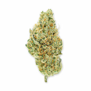 Lifter NL