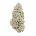 Mango Haze