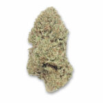 Sugar Kush