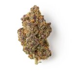 Gelato Indoor