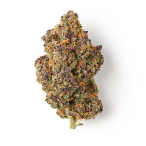 Gelato Indoor